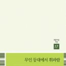 무인17 이미지