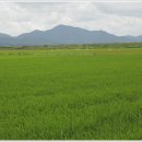 신활농장 이미지