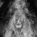 24시 위너스동물의료센터 이미지