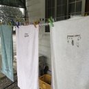 표선삼성의원 이미지