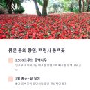힐링진 이미지