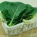 케일 - 양천구 공항대로 594 | 케일