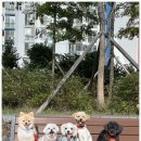 양산유치원 이미지