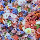 형제치과의원 | 치아 고민 이제 찐친한테 털어놓는 느낌으로다가!