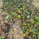 창조어린이집 | 본오동 직장인 엄마가 선택한 시간연장어린이집 리틀창조 어린이집 솔직 후기