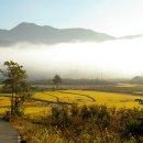 세월따라