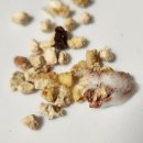 로얄종합동물병원 이미지