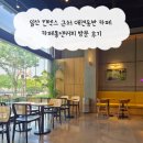 일산소방서 | 일산 킨텍스 근처 애견동반 카페 카페몰댄커피 방문 후기