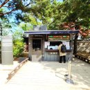 비원 | 서울 봄 데이트 코스 추천 창덕궁 비밀의정원 비원 봄 산책 후기 (조용한 힐링 코스)