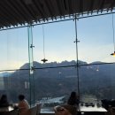 로카와 델피노2 이미지