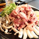 신선산오리 이미지
