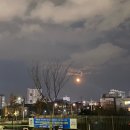 돌체가요주점 | 12월 1주차 주간기록