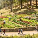 개금농장 이미지