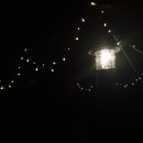 더숲캠핑장 이미지