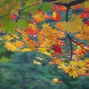 용소약수터 이미지