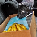 춘월농장 이미지