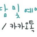 부산강아지분양 하이퍼피 이미지