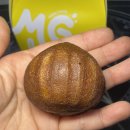 판교역로 | 메가MGC커피 판교역로점 신상메뉴 요즘 핫한 카페 디저트 버터떡 내돈내산 후기