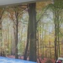 해피홈 게스트하우스 이미지