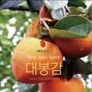 신지농원 이미지