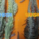 임실군농산물가공센터 이미지