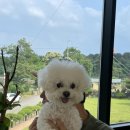 화계절