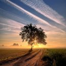 삶에 꼭 필요한 신념과 각오... 이미지