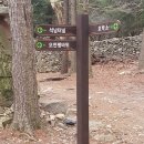 시례공원 네이버블로그