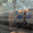 솔숲작은도서관 이미지