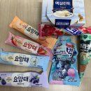 무인아이스크림 - 동작구 흑석한강로 2 | [부천 상동] 정말 아무도 없다! 무인 아이스크림 후기!!!