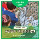 1인1악기 초등난타체험 | 남양주 체험농장 안데르센 정원 이용요금 총정리 서울 근교 아이랑 갈만한 곳 진접 어린이 체험 후기