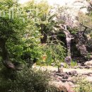 원동목장 이미지