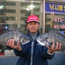 태공피싱