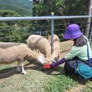 신동목장 이미지