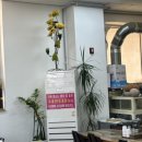 갈평옻닭집 이미지