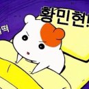 이즈해어 이미지