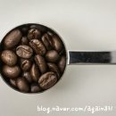 데이글릿