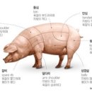 강남축산물도매센타