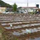 전원농장2 이미지