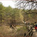 북면206 | 전설과 역사가 흐르는 숲길 산책, 북한산 둘레길 11구간 ‘효자길’ 가이드