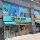 상상동물병원 이미지