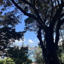 라벤더민박 이미지