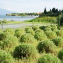 오호호텔 이미지