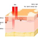 스튜디오 온프 티스토리