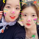 자매한식당 네이버블로그