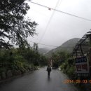 단양마늘만두 이미지