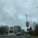 세인트루이스 애견 이미지