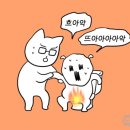 한별여성의원 출산후기, 유도분만 하루 전 자연분만 성공