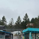 해남목장 | [평창]가볼만한 곳 대관령 양떼목장 눈,비 오는날 관람 후기