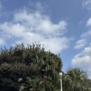 기상목장 이미지